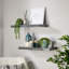 Tayshia 2 Piece MDF Floating Shelf-806628301