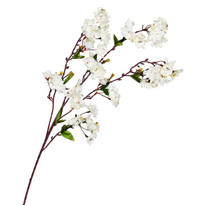 Fleur de cerisier en fleurs