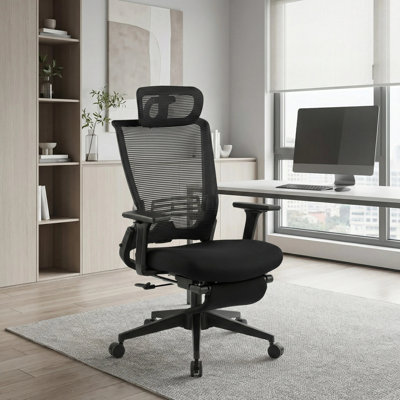 Makenzie Ergonomic Office chair with Adjustable Armrest and Foldable Backrest,minimal assembly by Inbox Zero