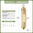 Acton 16.9In Cylinder Wallchiere Wall Sconce Lamp-2023632846-2004612885