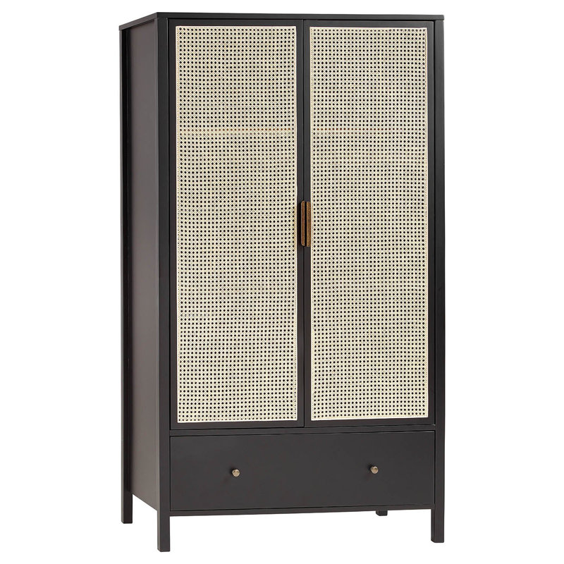 Tenaya 2 Door Solid + Manufactured Wood Wardrobe, Black