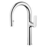 REMUS Kitchen Single Hole Pull Down Kitchen Faucet