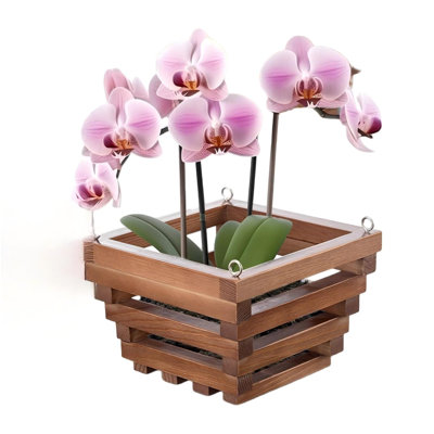 6 Sturdy Orchid Hanging Baskets, Wooden Plant Hanging Baskets