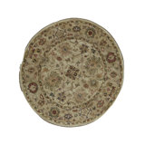 Wool Oriental Area Rug in Sand