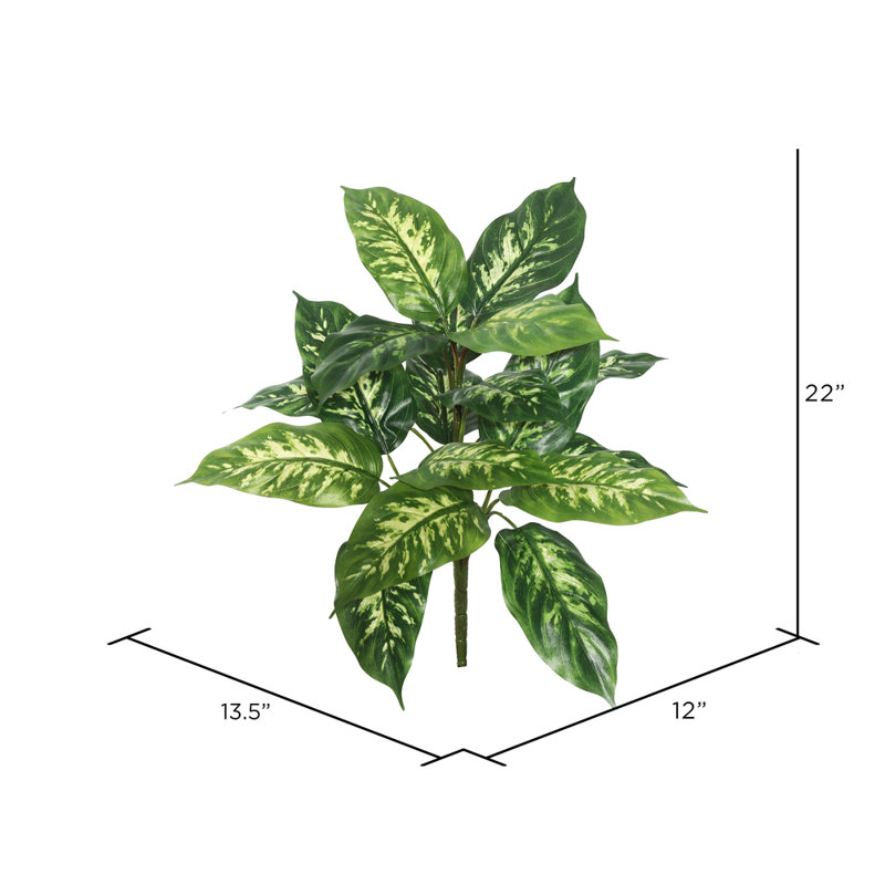 Plante artificielle de 22 po Dieffenbachia