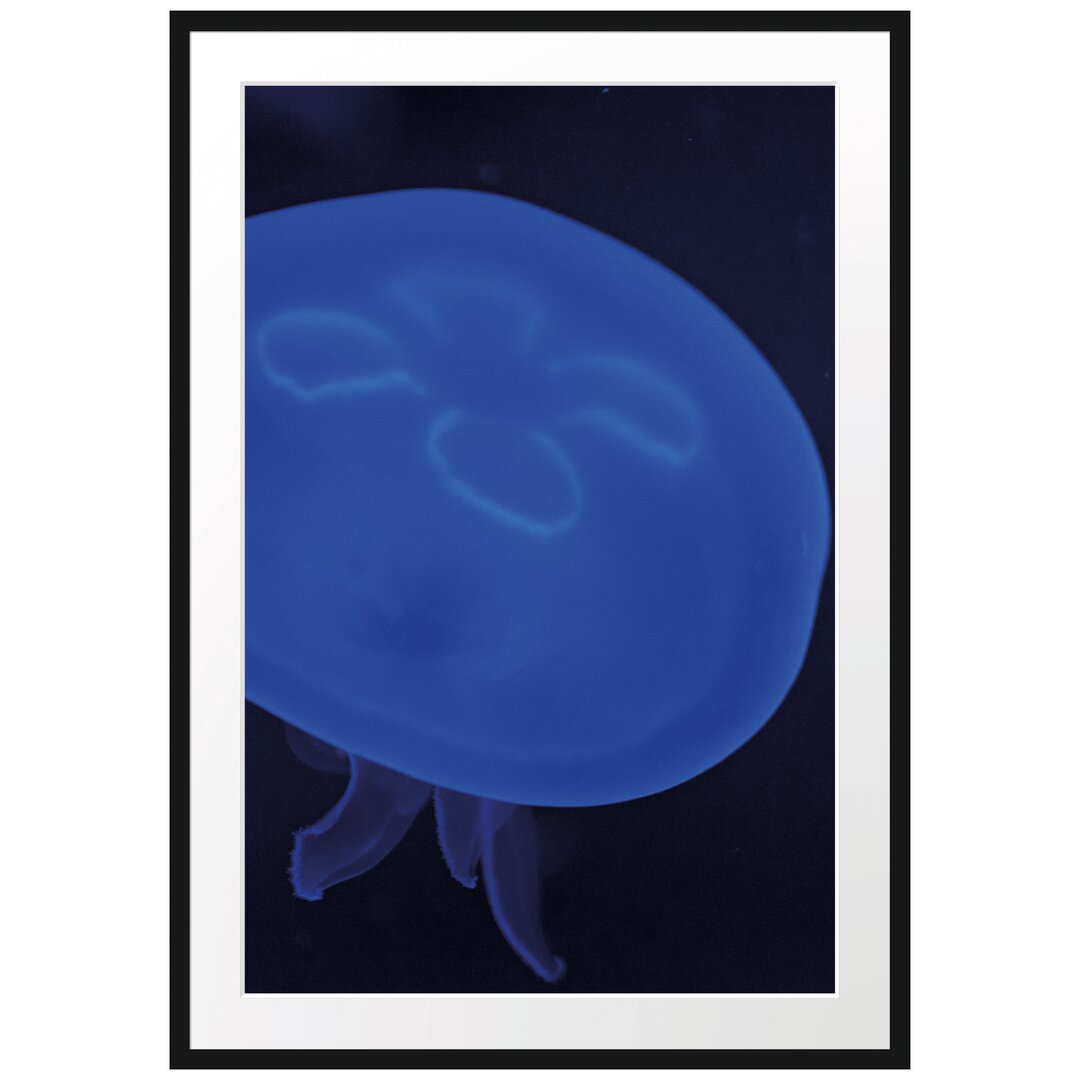 Gerahmtes Poster Leuchtend blaue Qualle