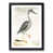 Black Framed selected
