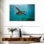 Tortue de mer Brampt Martinique-108698827