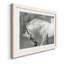 Étalon blanc - reproduction de cadre photo sur papier-749883260-749883257