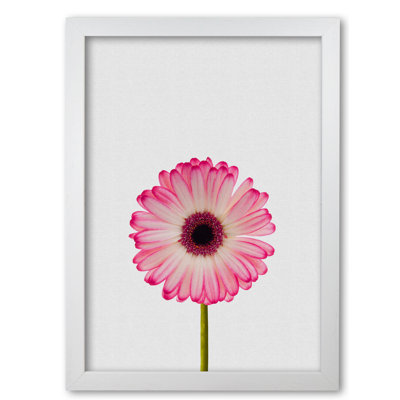 Daisy Still Life - Print