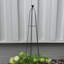 Support pour plantes grimpantes RHS Queen Obelisk Classic de 47 po en acier thermolaqué