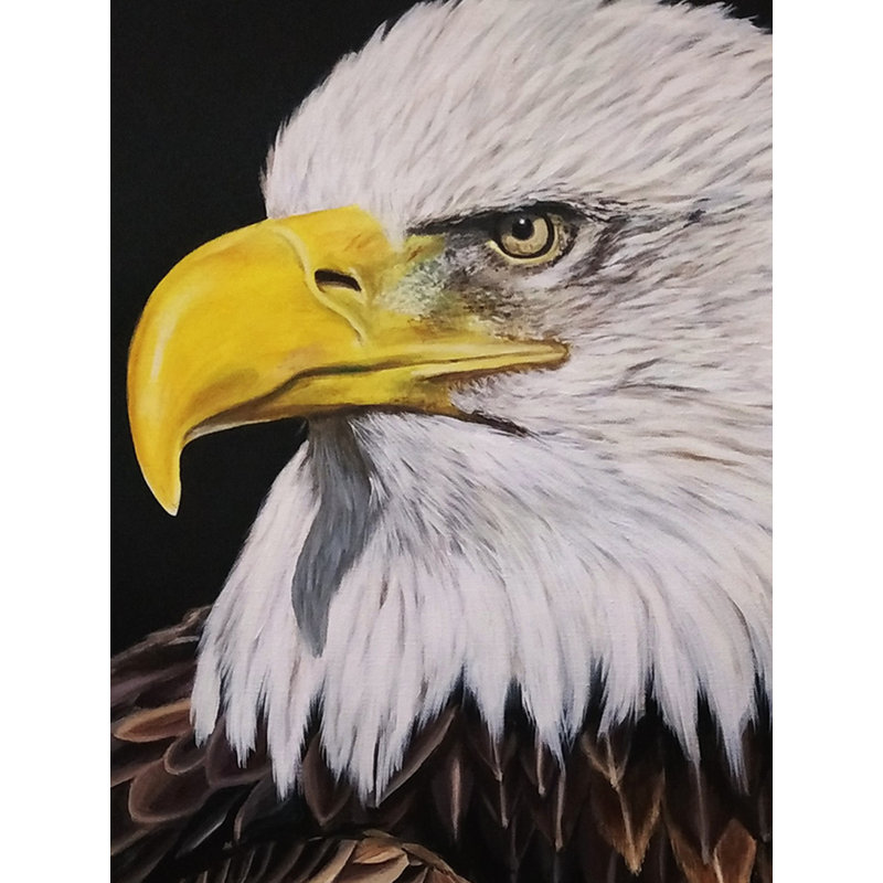 Aigle à tête blanche: le roi du ciel | Acrylique sur toile | Par Deekhaâ Chauhan