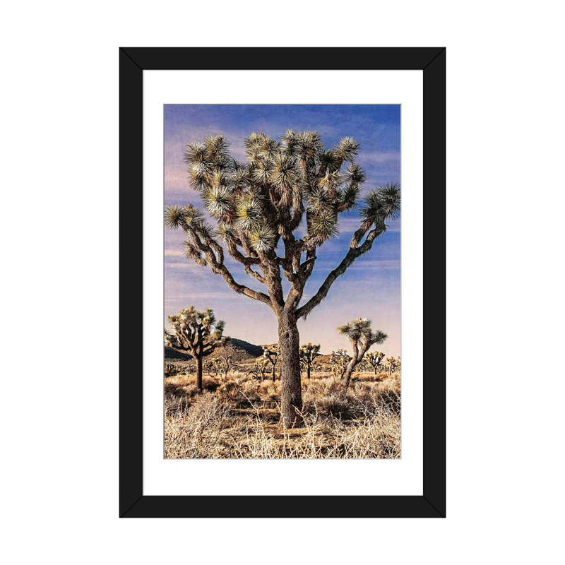«Joshua Tree Views IV», impression sur toile, H 24 po x l 16 po x P 1 po, Papier d'art encadré noir, Blanc