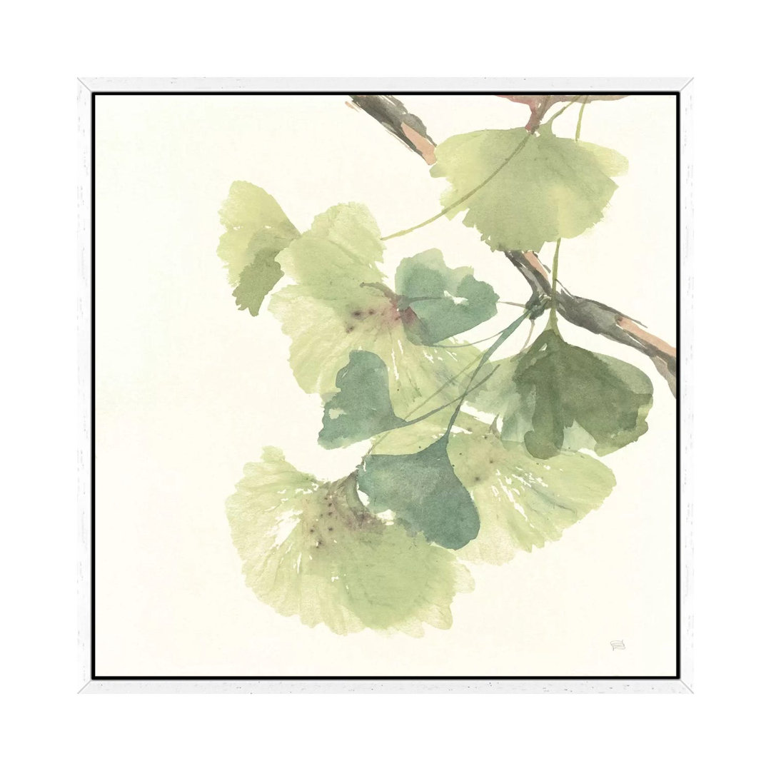 Light Gingko Leaves II