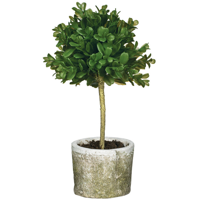 12'' Faux Boxwood Tree