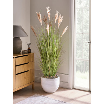 Arrangement in Pot