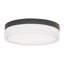 Cirque LED Outdoor Flush Mount-56359842