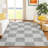 Machine Washable Indoor/Outdoor Braegger ACN2345 Geometric Rug-1279340861