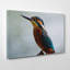 Kingfisher Bird Photographic - Wrapped Canvas-19046333