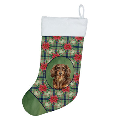 Chaussette de Noël à poils longs de Noël à poil long et teckel brun clair