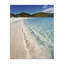 Toile de la côte caribéenne des Caraïbes, design par Seven Trees Design-1019355031