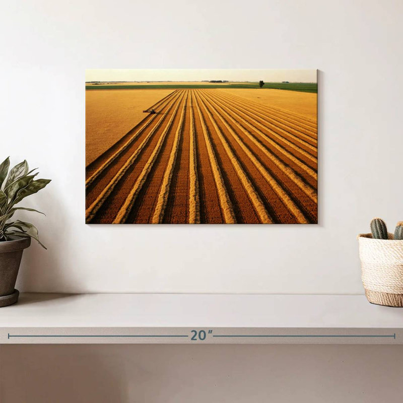 Harnek Wheat Field Lines, H 8 po x l 12 po