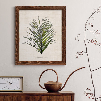 " Palm Botanical I " Painting Print