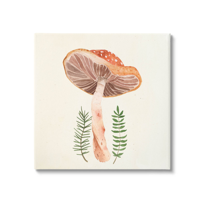 "Cottage champignon", art mural sur toile par Lucca Sheppard, L 30 po x H 30 po, Toile tendue