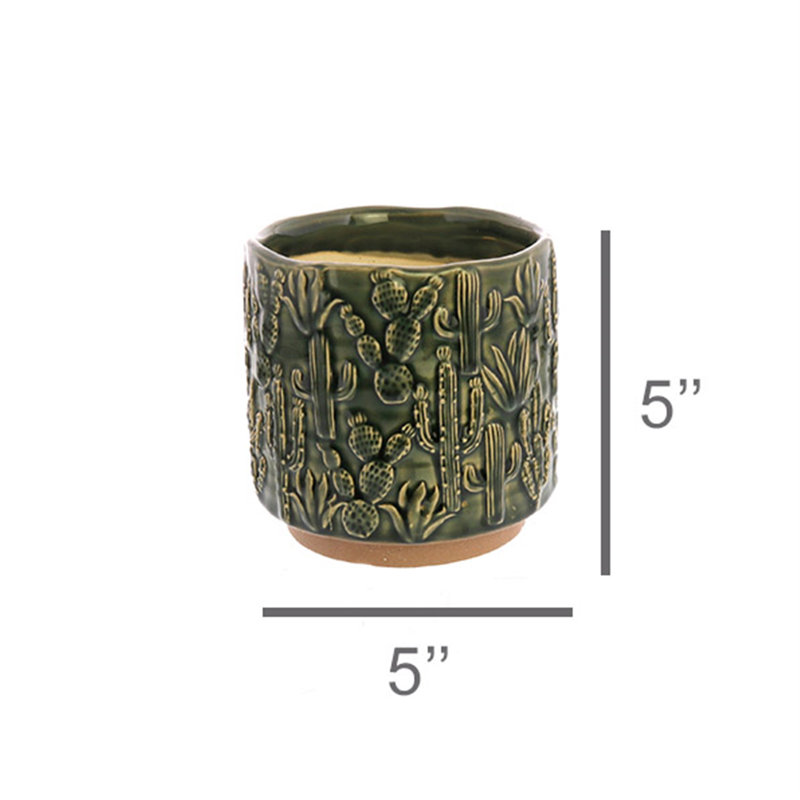Barba Ceramic Cactus Cachepot, 5" H x 5" W x 5" D