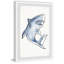 Chumley «Shark's T dents», reproduction encadrée-2132966367