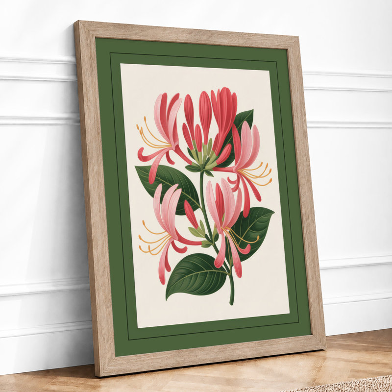 Honeysuckle Study Botanical - Print, Oak, A4 - 29.7 x 21.0 cm
