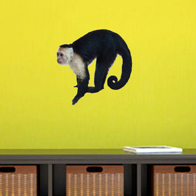 Décalcomanie murale singe really life