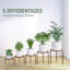 Plant Stand-1142170071