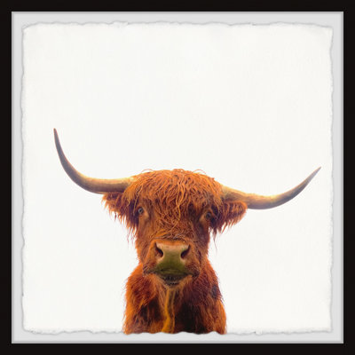 The Orange Buffalo - Single Picture Frame Painting