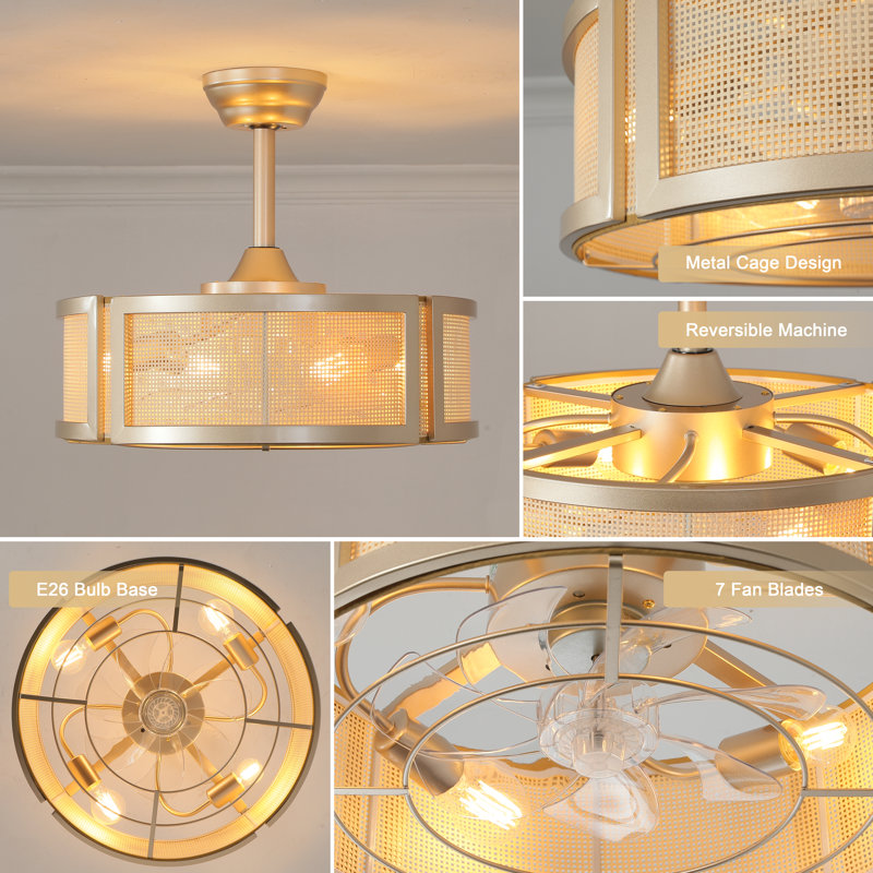 Blashford 19.6" Caged Ceiling Fan with Lighting Kit and Remote, Gold