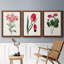 Roseat Blooms I - ensemble de 3 peintures sur toile encadrées-828588972-828588951