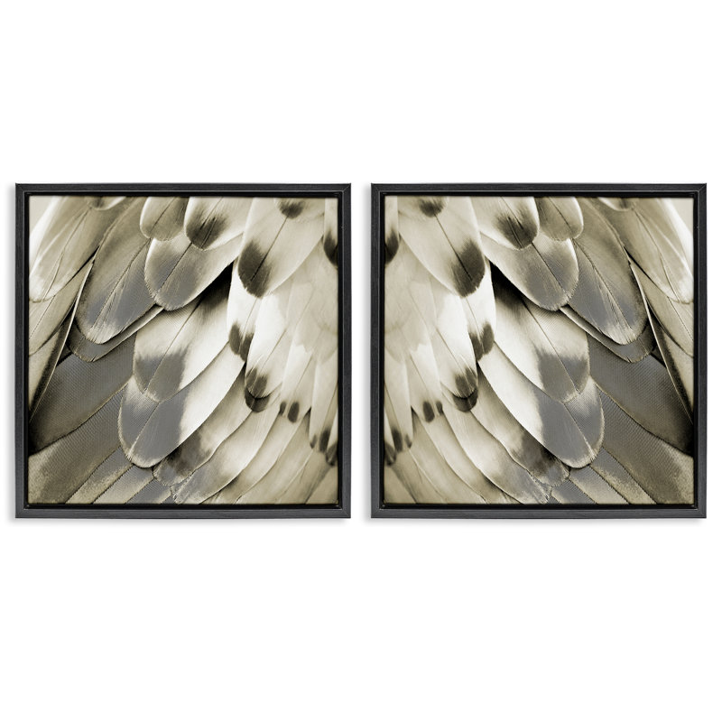 «Bird Feathers Vintage View», ensemble de 2 toiles flottantes encadrées dorées par Julia Bosco, Cadre flottant noir de jais