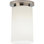 Nina 1 - Light Flush Mount