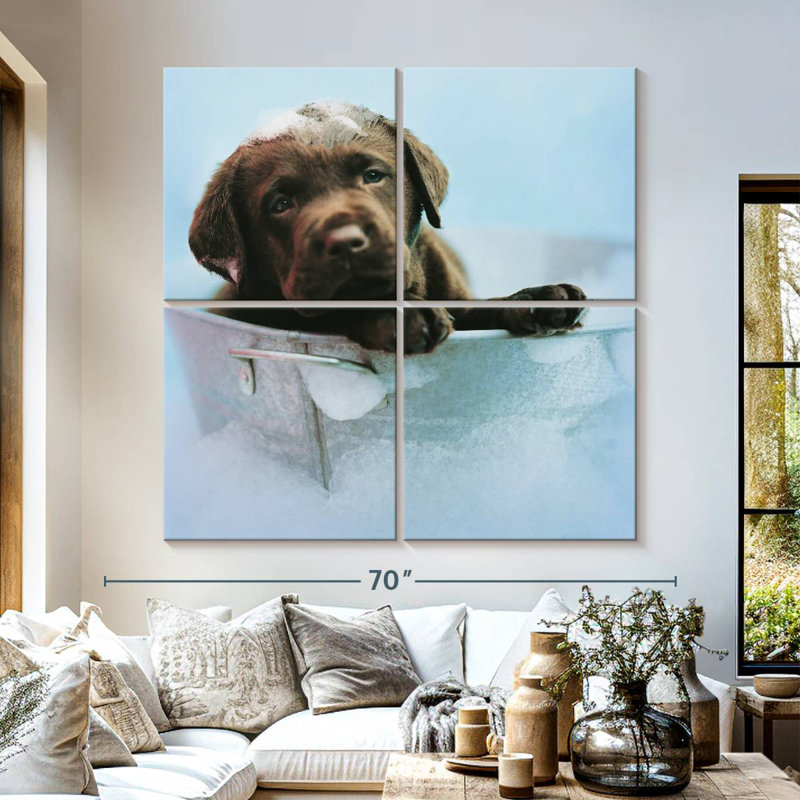 Brampt Beau le chien