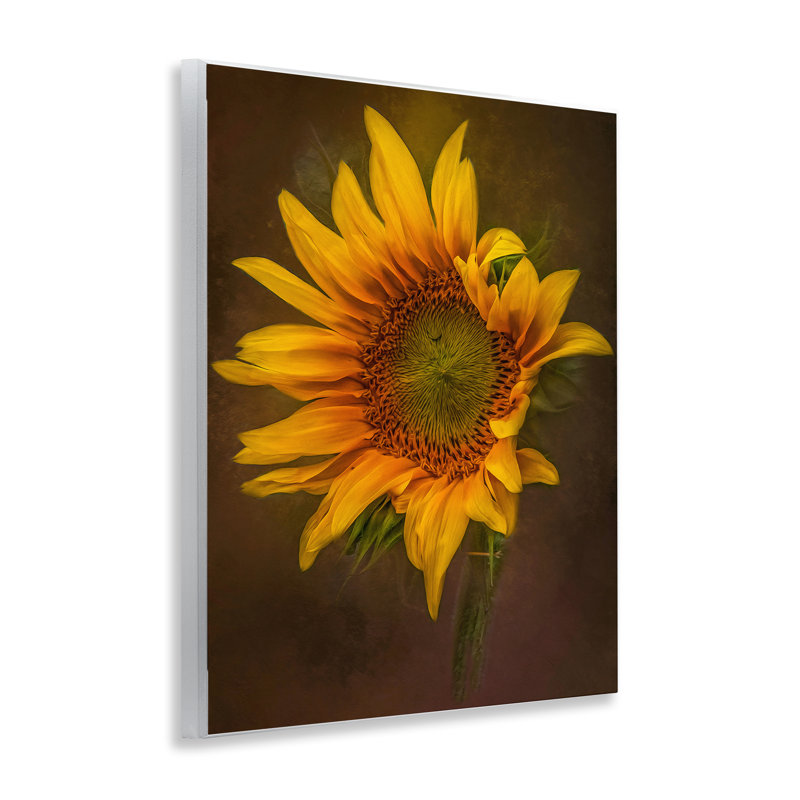 «Curling Petals» par Kelley Parker