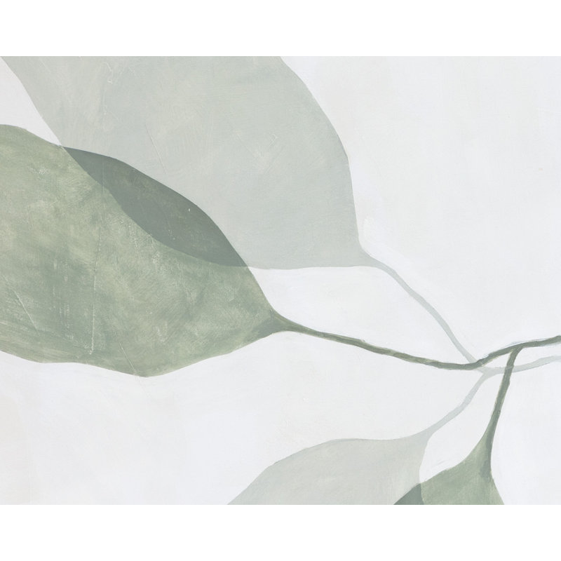 Calm Reflection Set