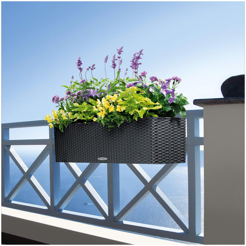 Balconera Window Box Planter, Granite, 19 cm H x 79 cm W x 19 cm D
