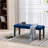 Heng Ming Upholstered Tufted Bench Ottoman-1152145848