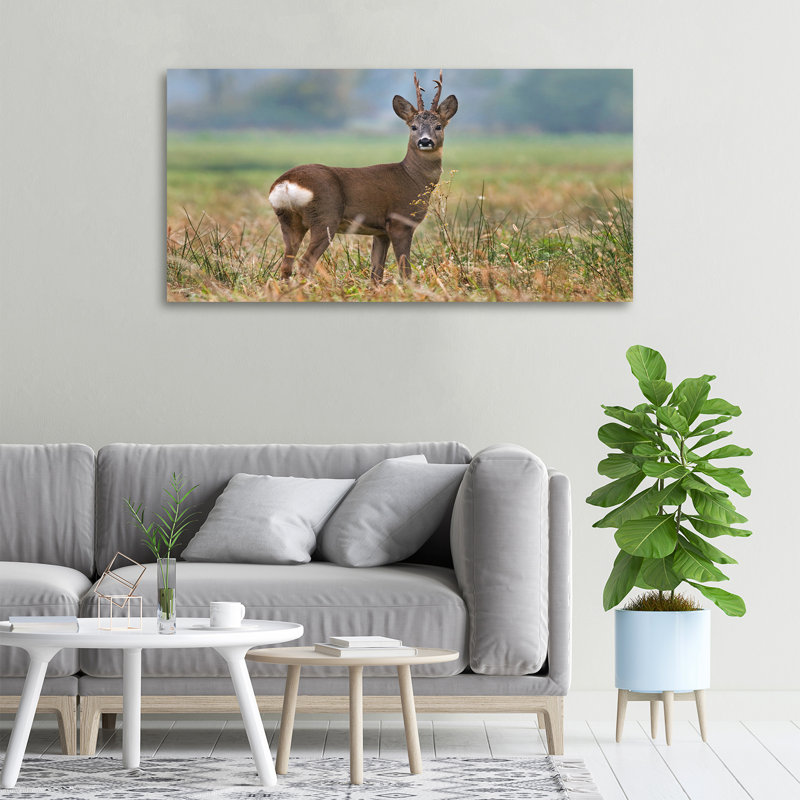 Roe - No Frame Print on Canvas