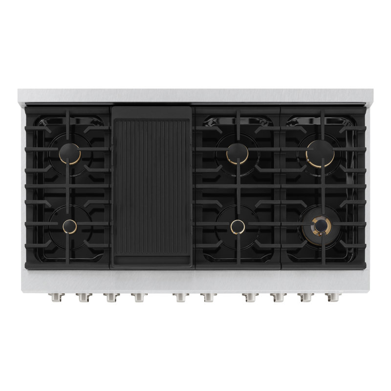 ZLINE 48" Paramount Double Oven Dual Fuel DuraSnow® Stainless Range w/ 8 Brass Burners (SDRS-BR-48)