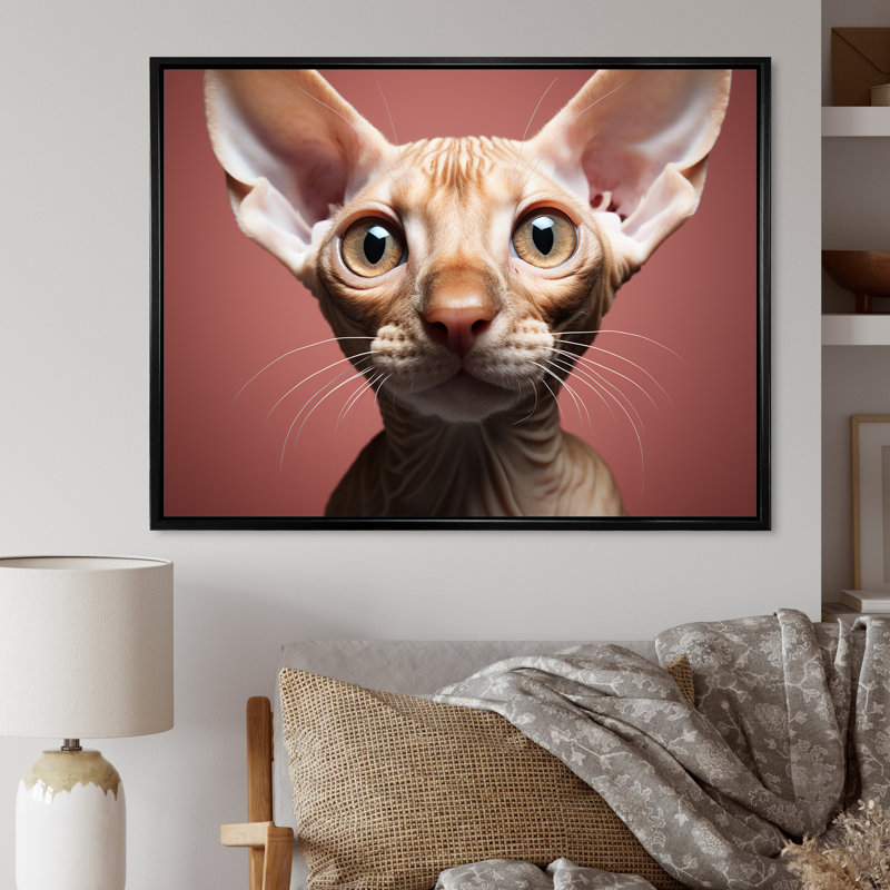 «Peterful Playfulness Cat Portait», reproduction d'art sur toile, H 12 po x l 20 po x P 1 po, Cadre flottant noir
