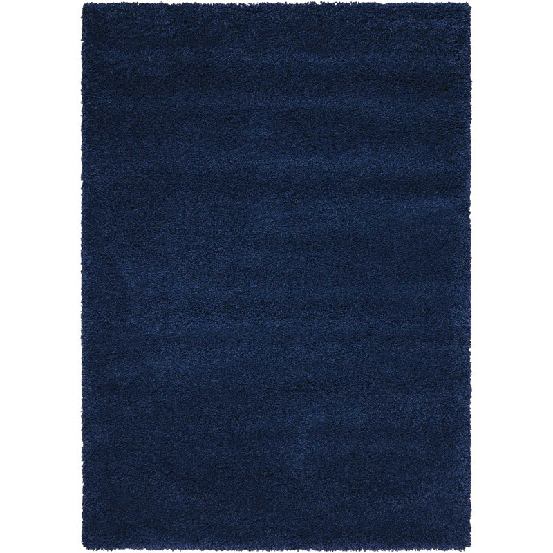 Tapis marocain à poils longs Sigrid, Rectangle 3 pi 11 po x 5 pi 11 po