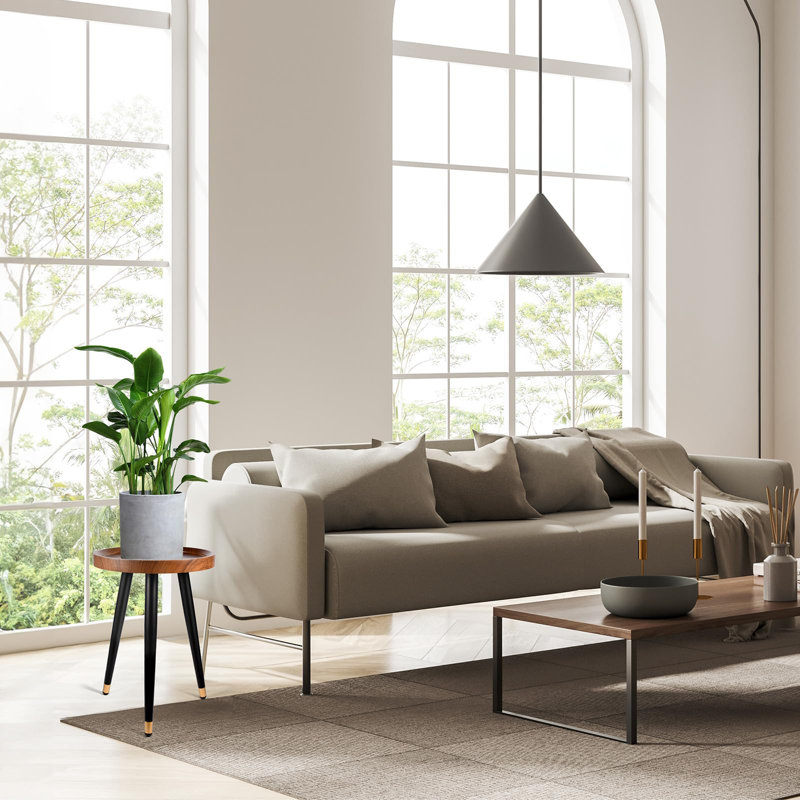 Table à plante d'intérieur en noyer