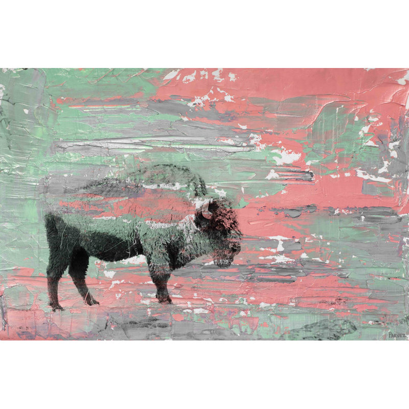 Parvez Taj - Wrapped Canvas Painting, 51cm H x 76cm W