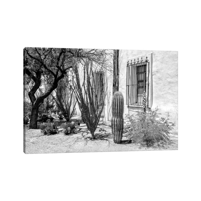 Beautiful Desert Plants by Philippe Hugonnard - Wrapped Canvas Print, 30.48 cm H x 45.72 cm W